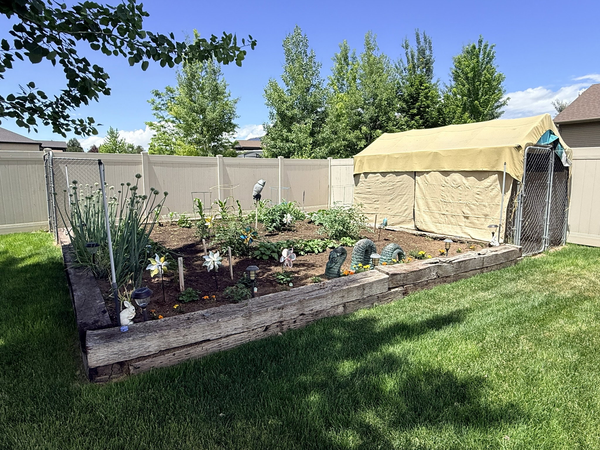 Raised garden bed with wood beam edging, cultivated planting area, and adjacent covered enclosure
