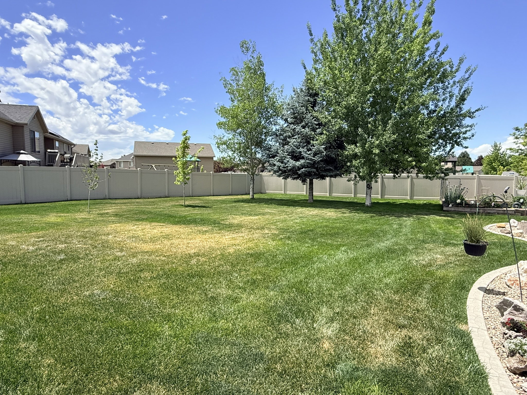 Expansive backyard featuring a manicured lawn, established trees, and a full-height privacy fence