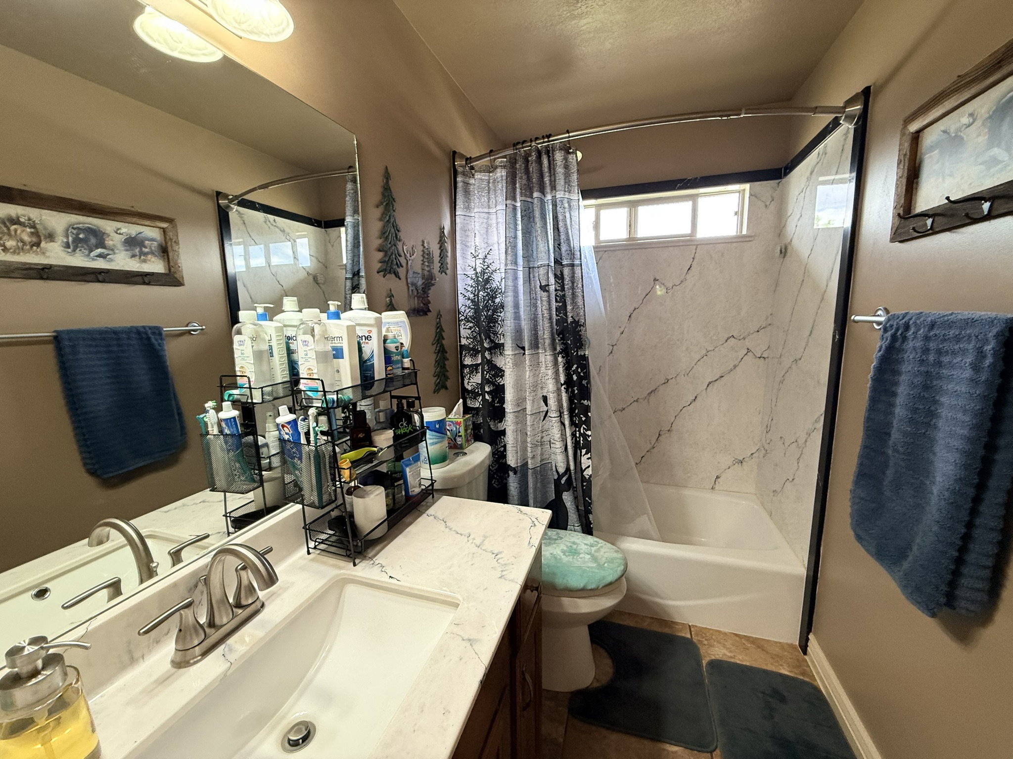 Bathroom vanity featuring a single basin sink with a two-handle faucet, set into a light-colored countertop