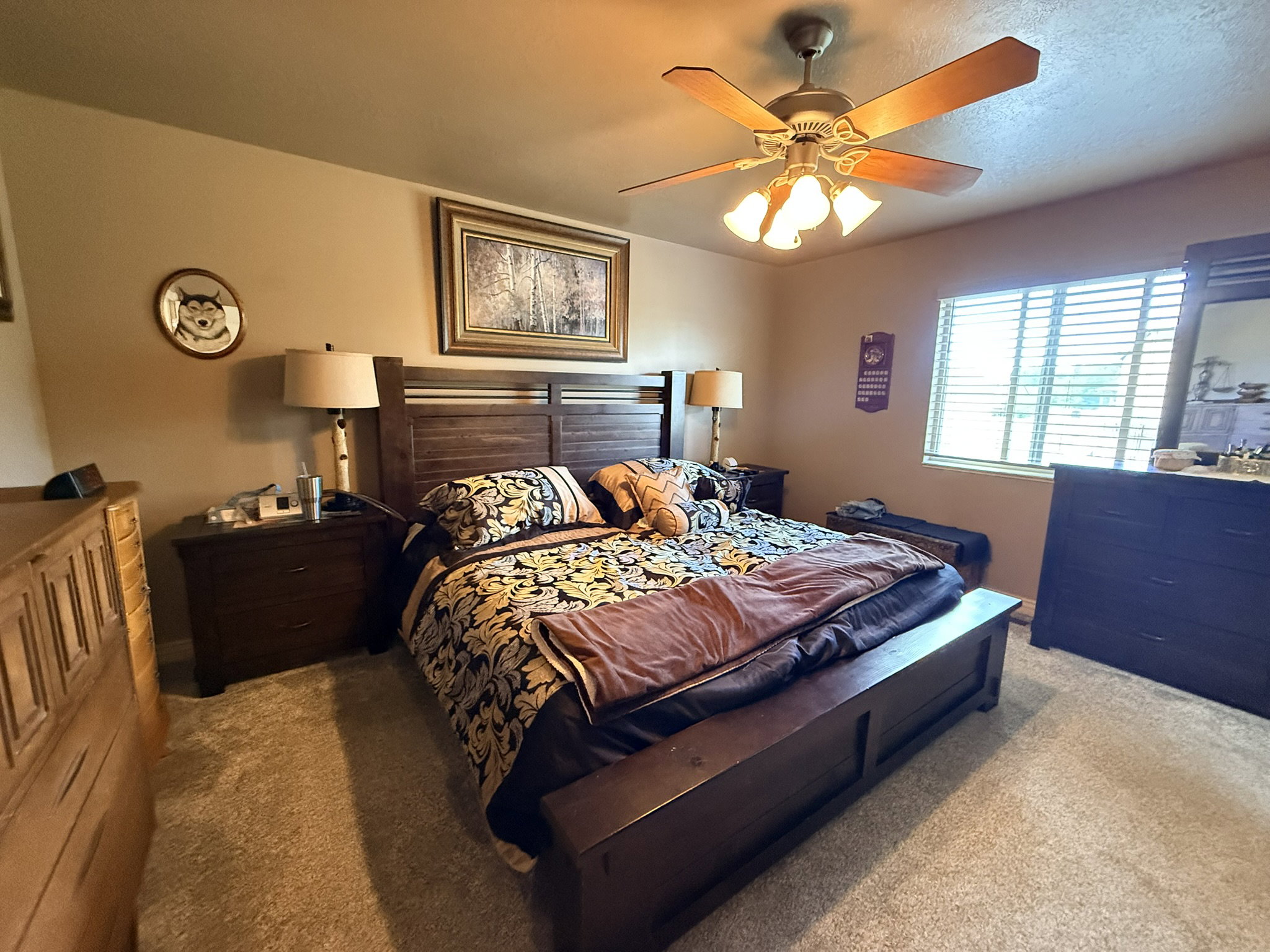 Spacious bedroom featuring neutral carpeting, a large window with horizontal blinds, and a ceiling fan with integrated lighting