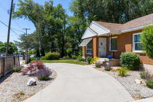 Brick exterior residence featuring a concrete driveway and mature trees