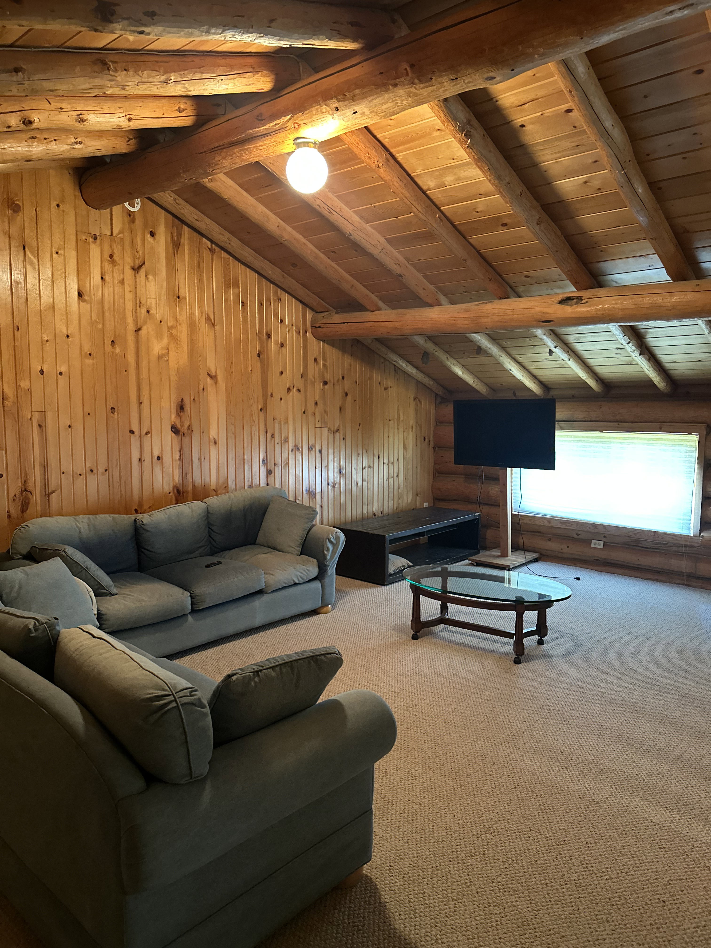 Carpeted living space featuring wood paneling and exposed wood beams