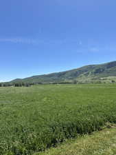Expansive green field under a clear blue sky, featuring distant treed mountains and a far-off cluster of buildings