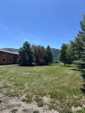 Expansive grassy area featuring mature evergreen trees and a distant mountain backdrop