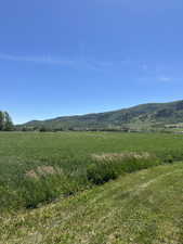 Expansive green fields extending towards distant tree-covered mountains under a clear blue sky