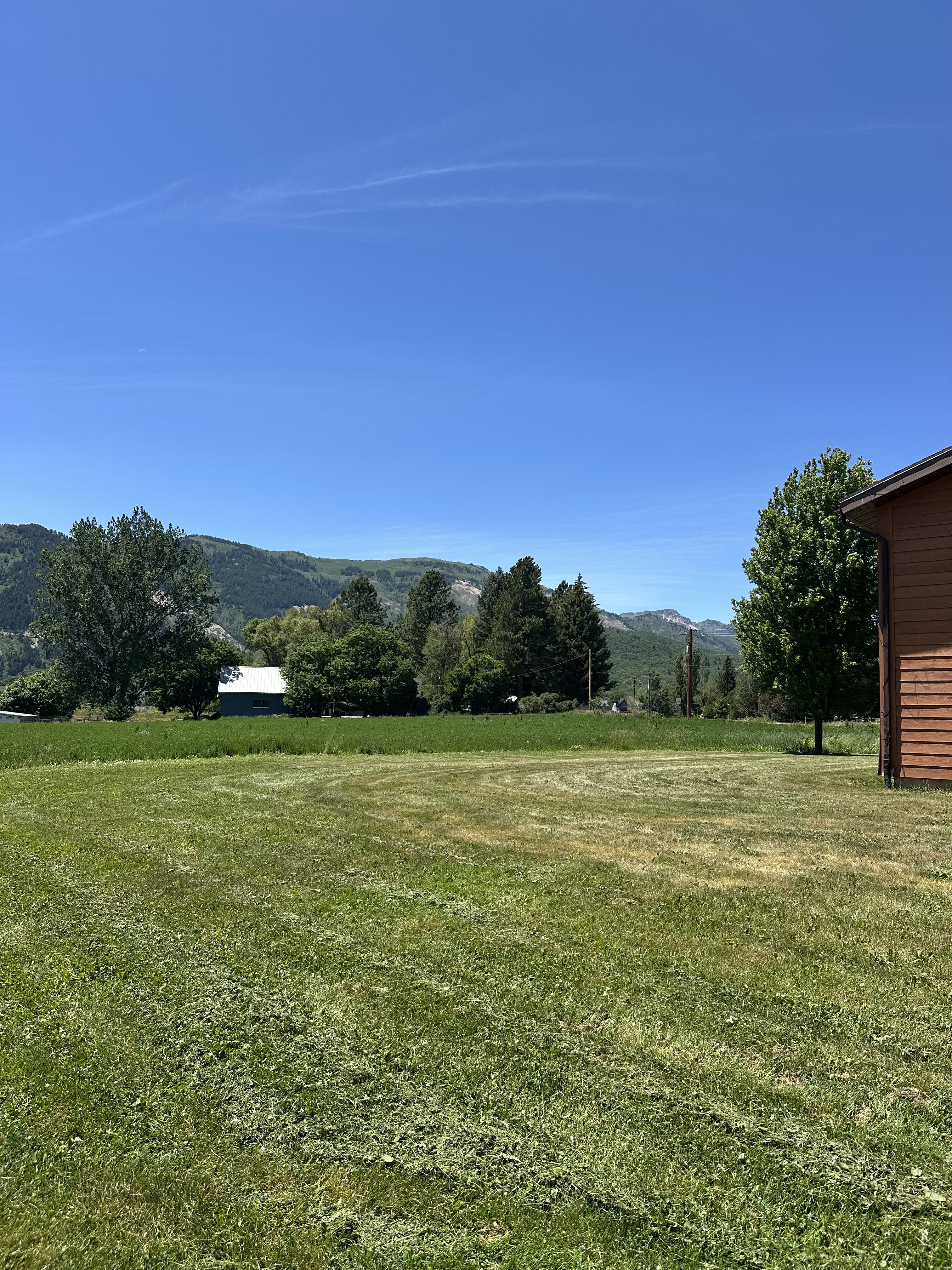 Expansive green lawn with mountain backdrop