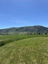 Expansive green landscape featuring a distant tree-covered mountain range under a clear blue sky