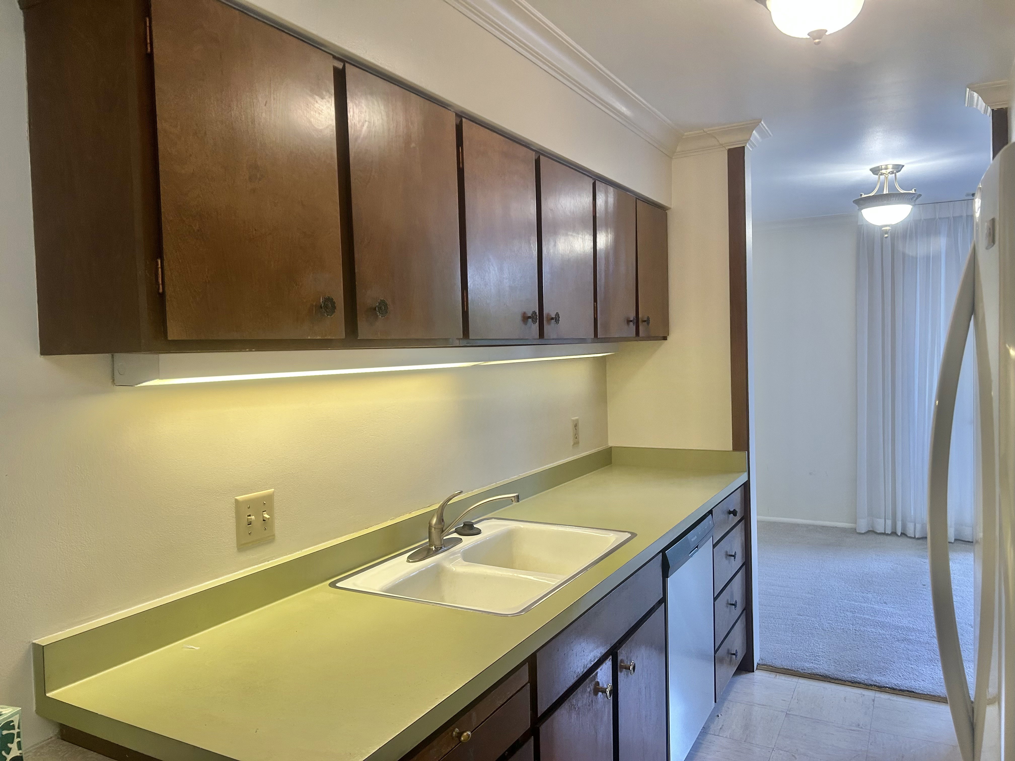 Kitchen featuring wood cabinetry, a dual basin sink, integrated dishwasher, under-cabinet lighting, and a light-colored countertop