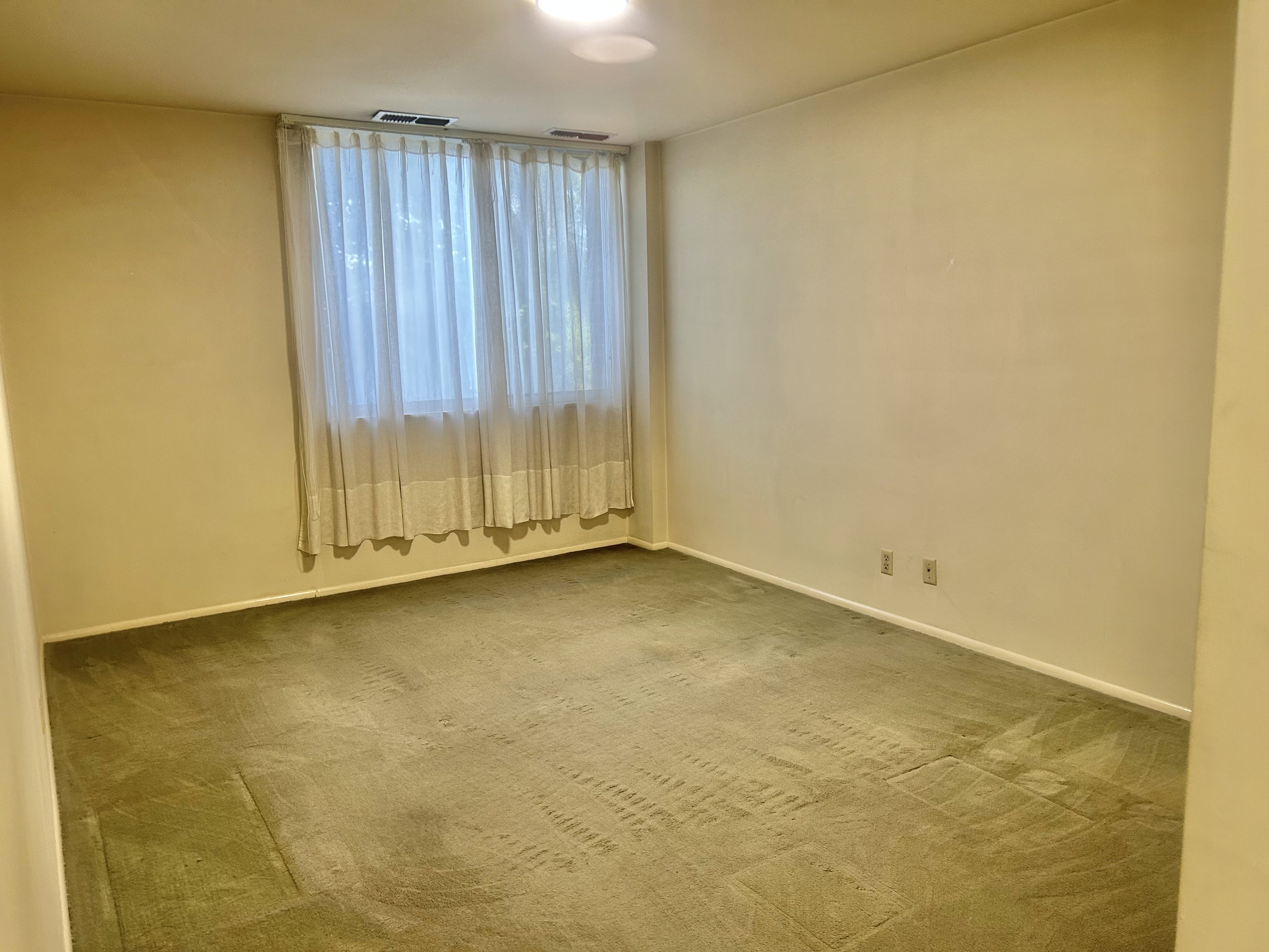 Spacious room featuring broadloom carpeting, a large window with sheer and opaque drapery, and a flush-mount ceiling light fixture