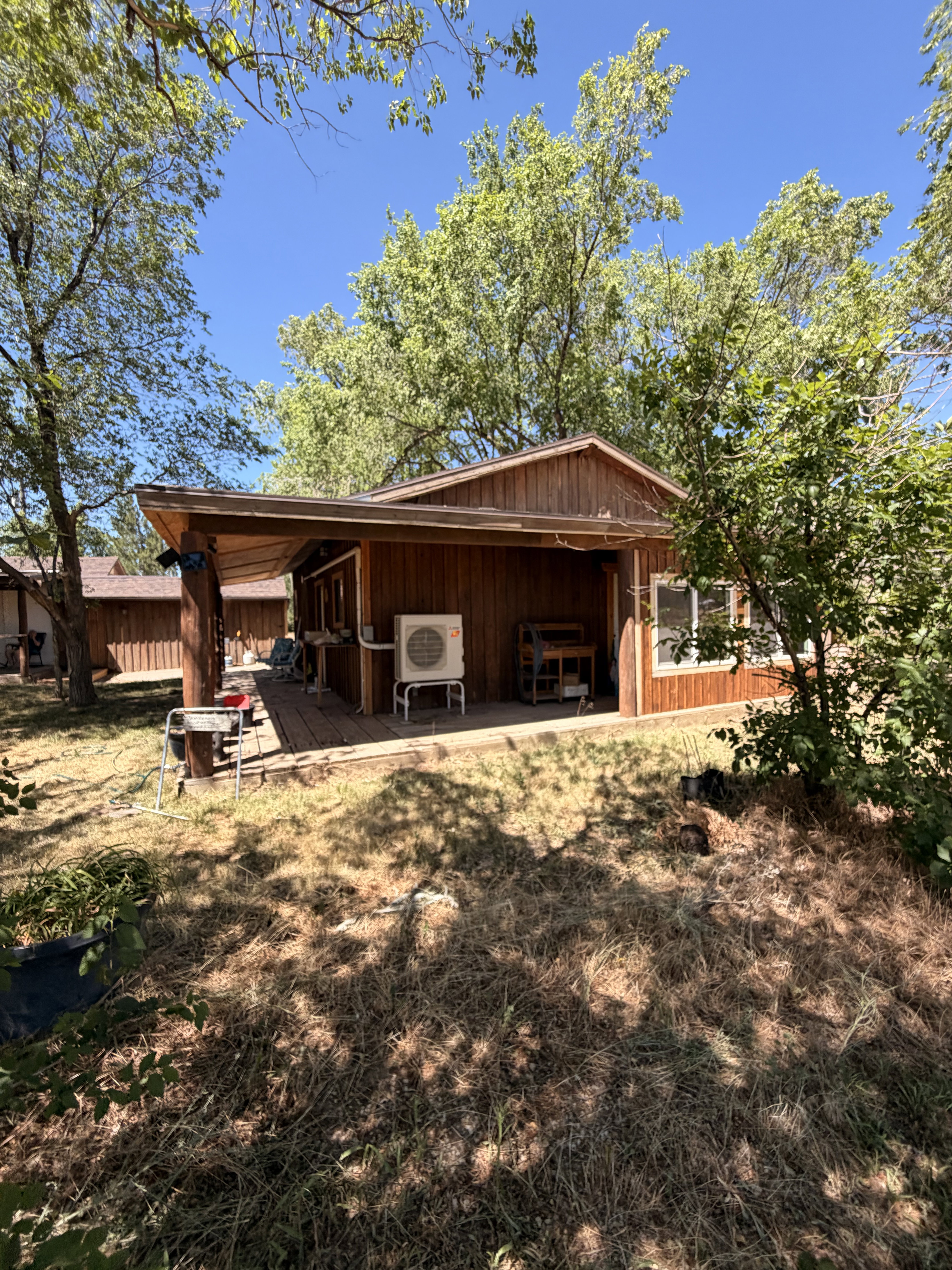 Wood-sided structure featuring an extended covered patio and multiple mature trees