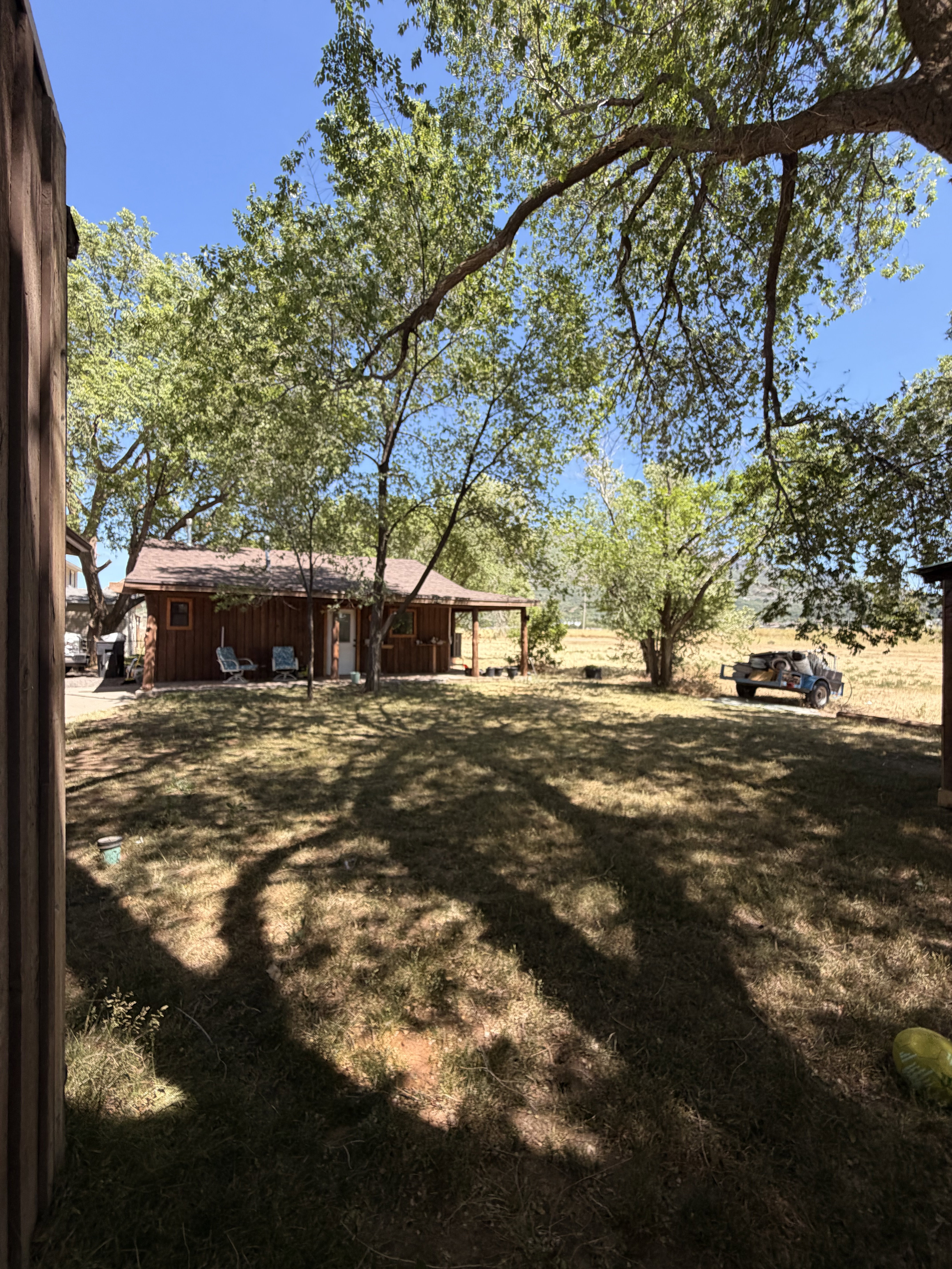 Expansive outdoor space featuring a detached structure, substantial tree canopy, natural grass areas, and a clear blue sky
