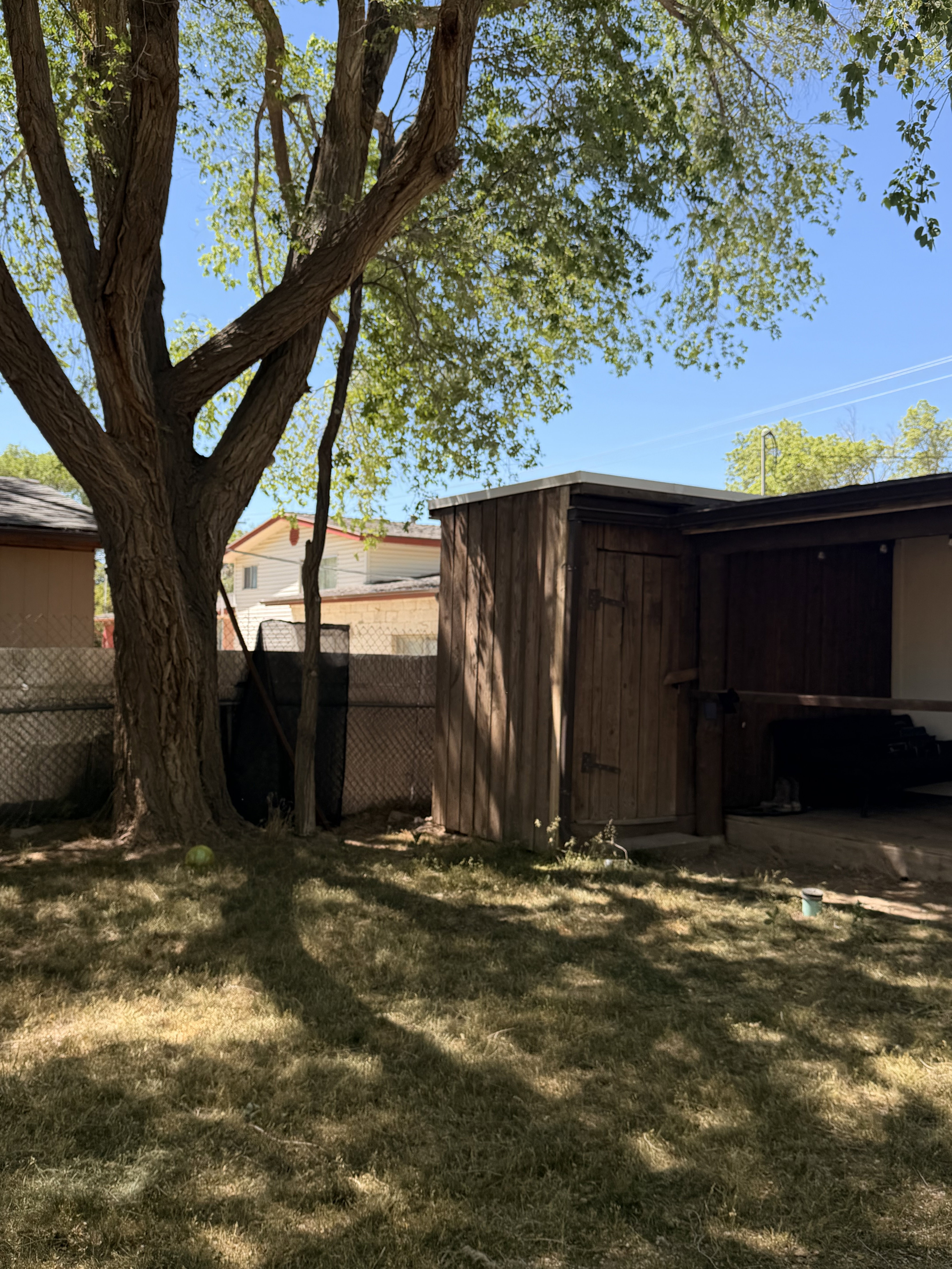 Expansive backyard featuring a mature tree providing shade, a wooden storage shed, and a chain-link fence