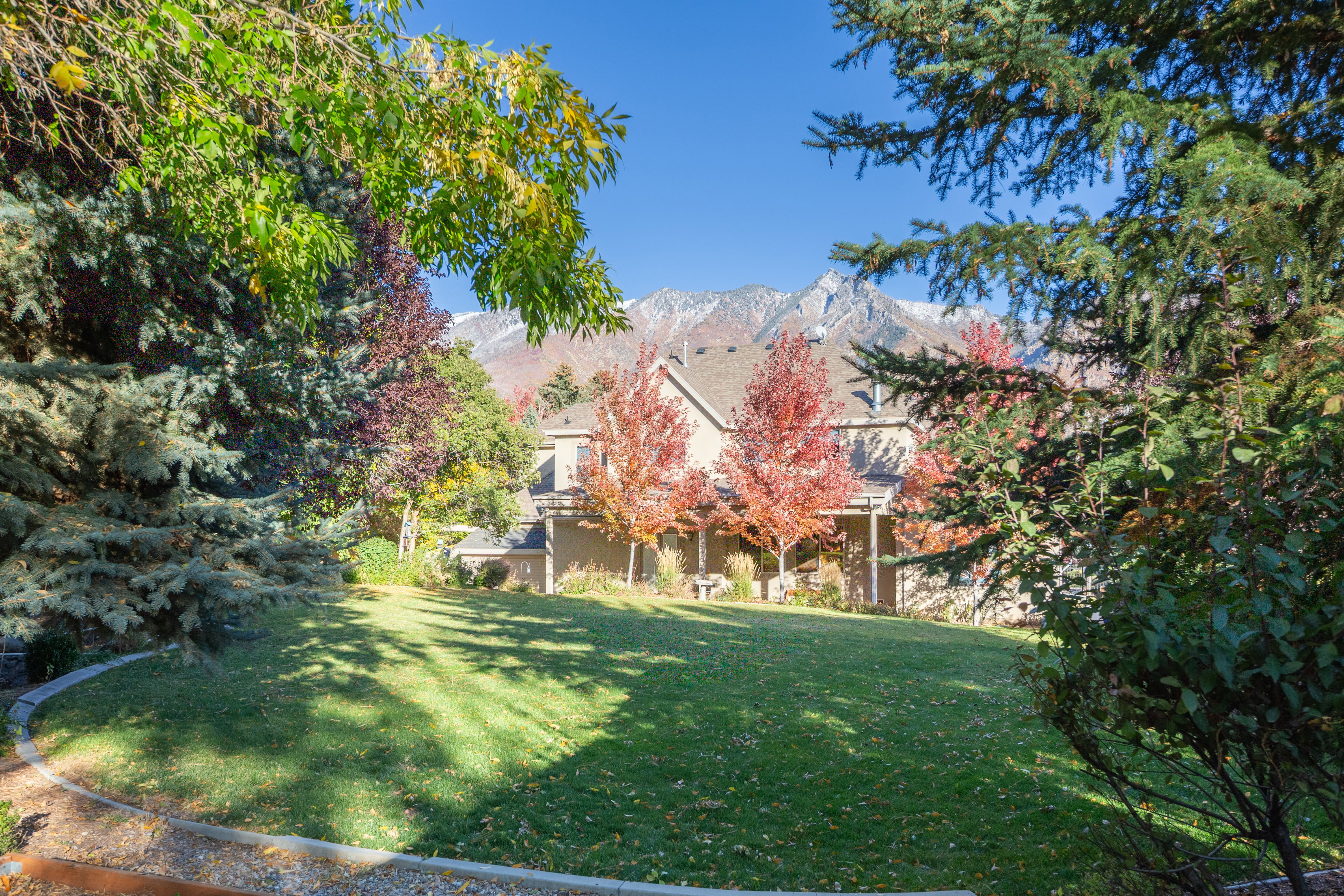 Expansive rear yard featuring a sloped lawn, mature trees, and landscaping