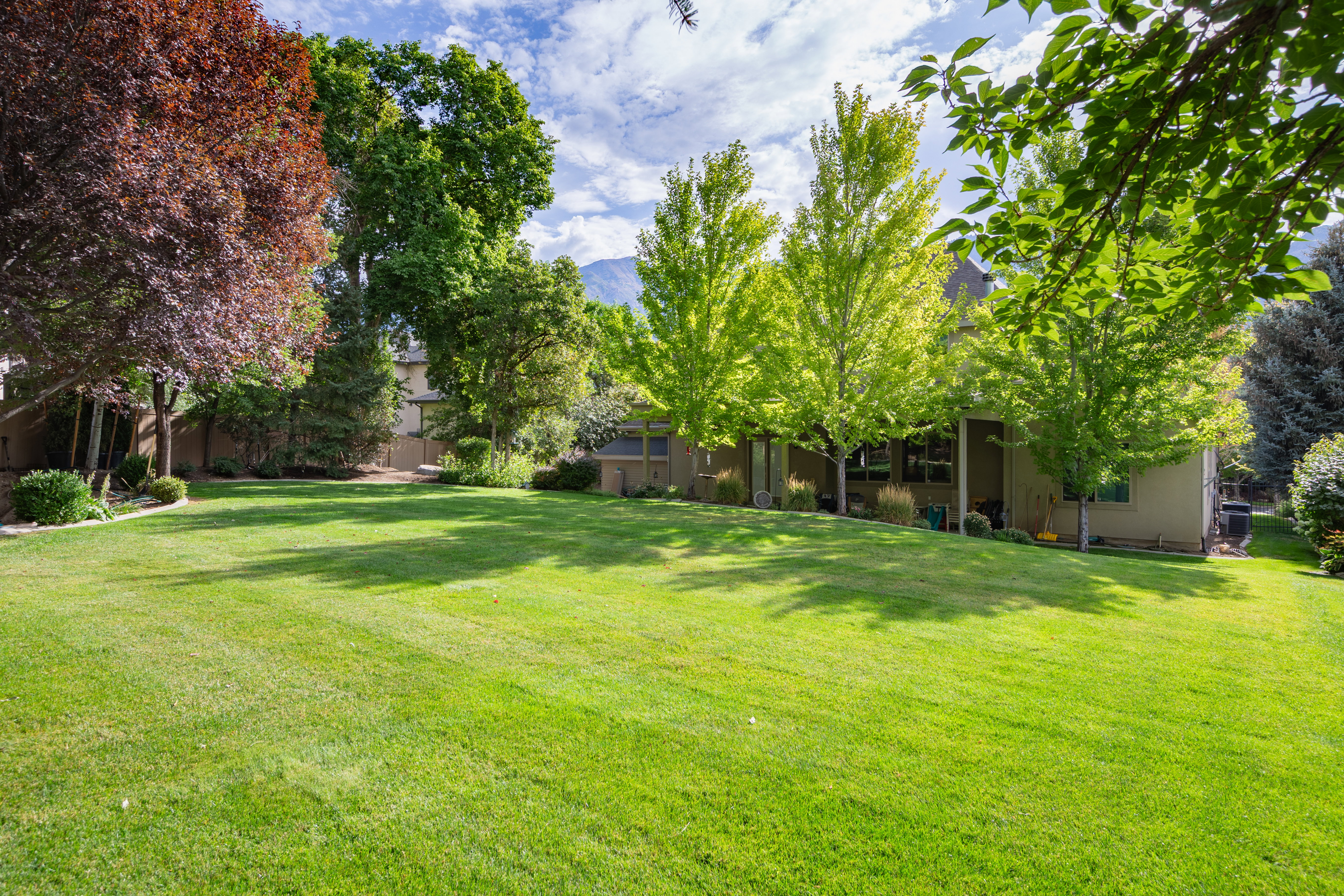 Expansive rear yard featuring a manicured lawn, mature trees, and established perimeter landscaping
