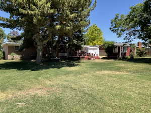 Expansive backyard featuring a large green lawn, mature trees, a red-painted deck, and a white storage shed