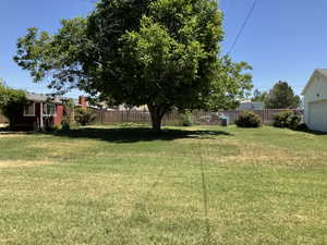 Expansive grassy yard featuring a large mature tree providing natural shade