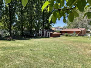 Expansive backyard featuring a manicured lawn, established trees, and a detached storage shed with a white trim