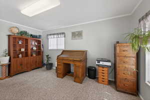 Room featuring light gray walls, textured carpet, and a flush-mount ceiling light