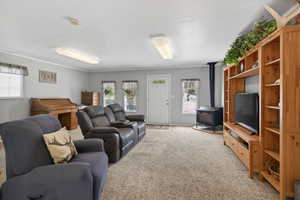 Spacious living area featuring light gray walls, plush carpet flooring, a wood-burning stove, and a white entry door with frosted glass