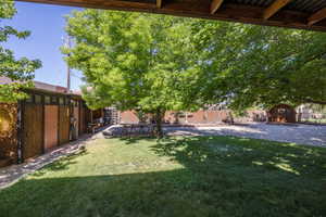 Expansive outdoor space featuring a lush lawn, mature trees, gravel ground cover, a wooden shed, and a privacy fence