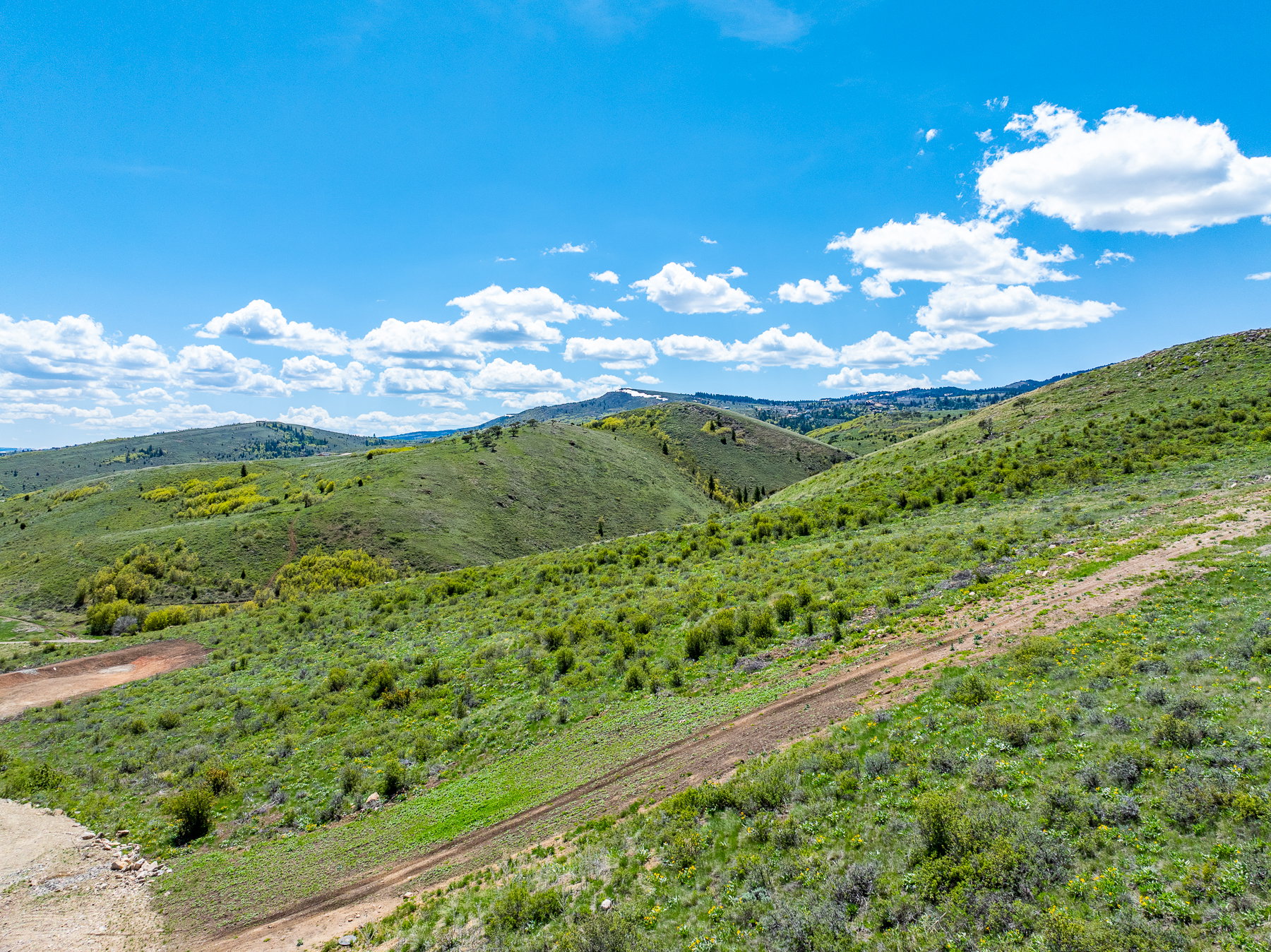 Expansive green hillsides featuring varied topography and scattered foliage