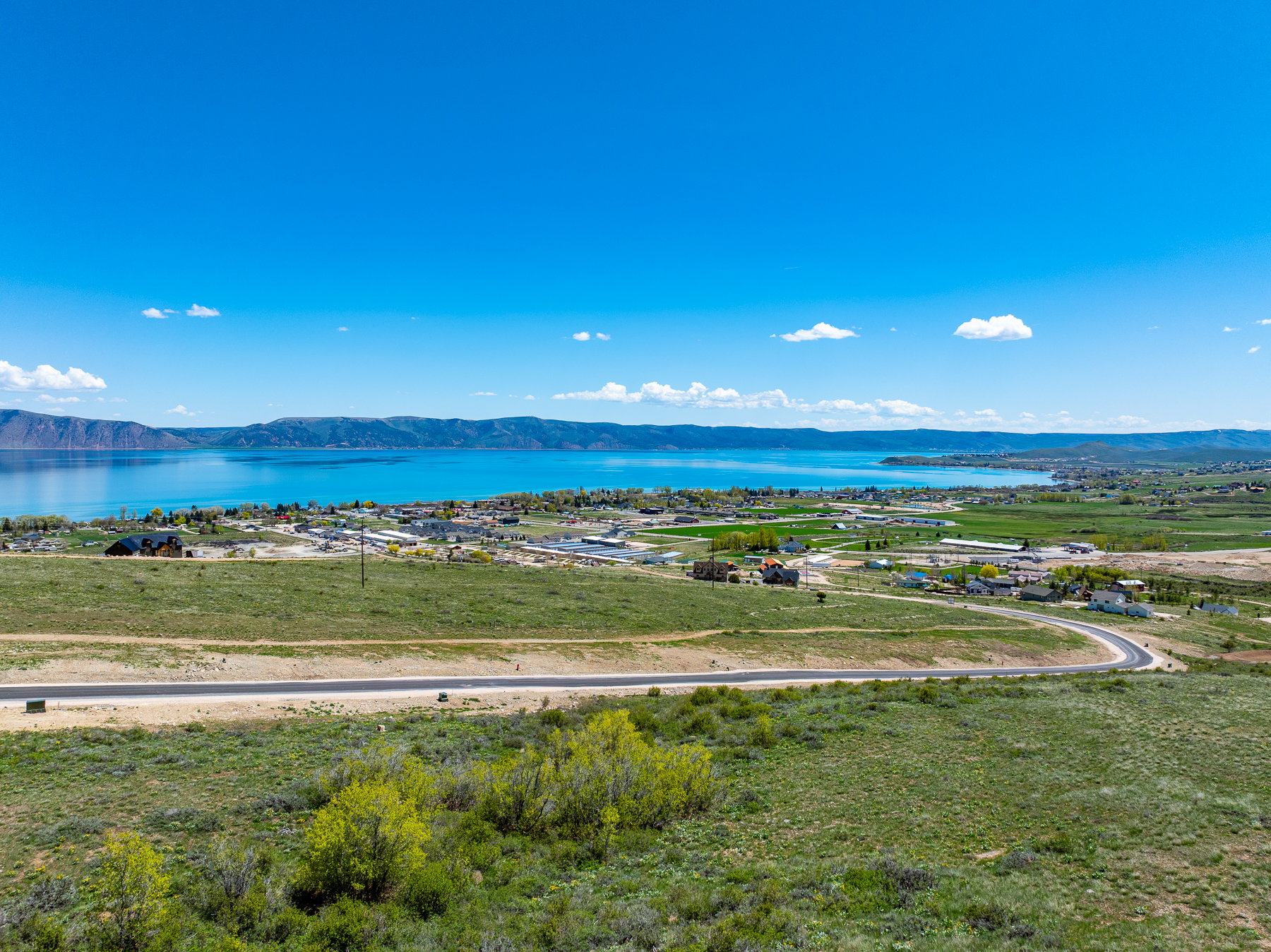 Expansive undeveloped lot featuring verdant natural landscaping and a paved road