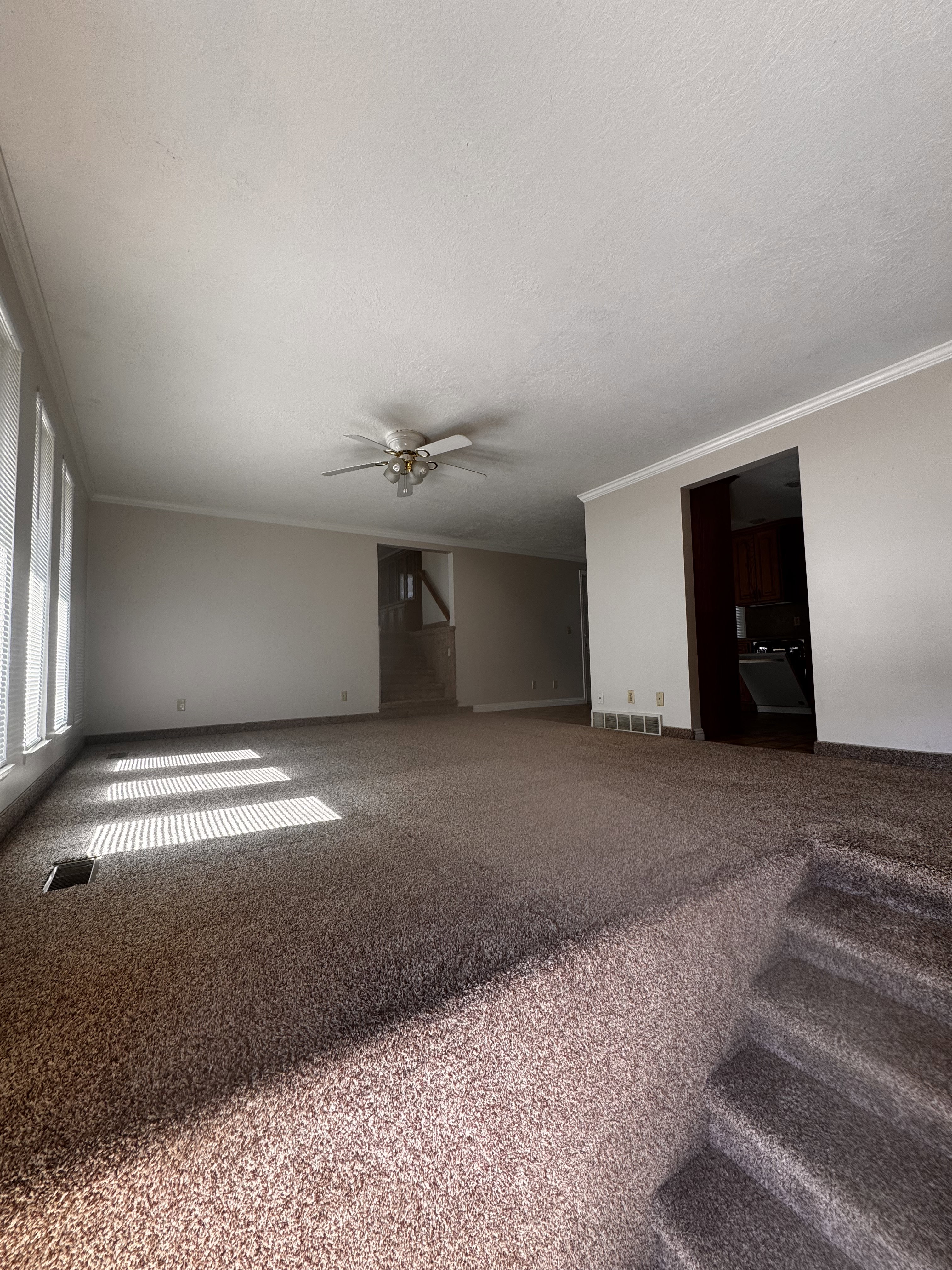 Spacious carpeted room featuring a ceiling fan with integrated lighting, multiple windows with horizontal blinds, and baseboard trim