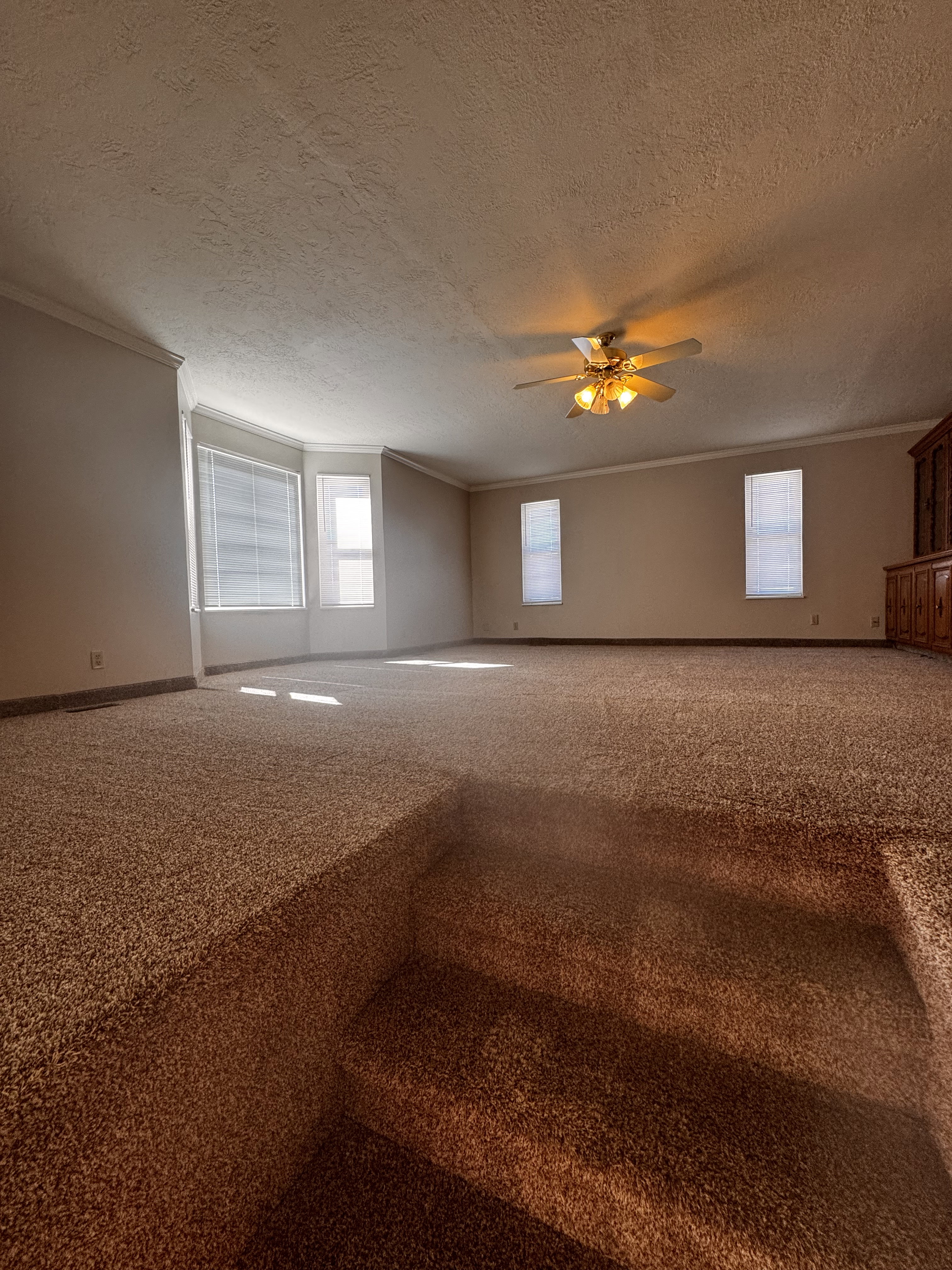 Carpeted living area featuring a bay window with blinds, additional windows with blinds, a ceiling fan with integrated lighting, and crown molding