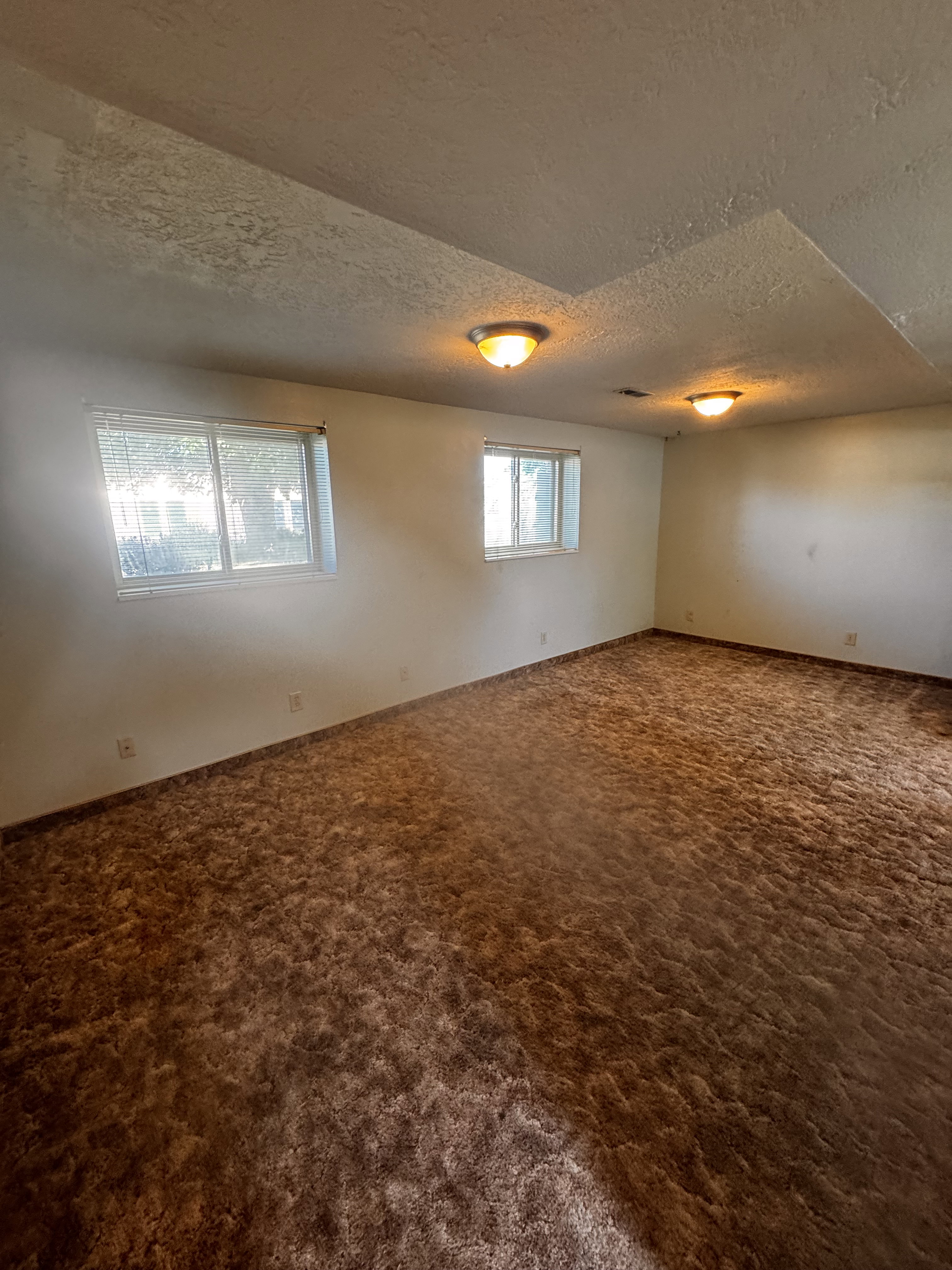 Spacious room featuring broadloom carpeting, multiple windows providing natural illumination, and ceiling-mounted flush lighting