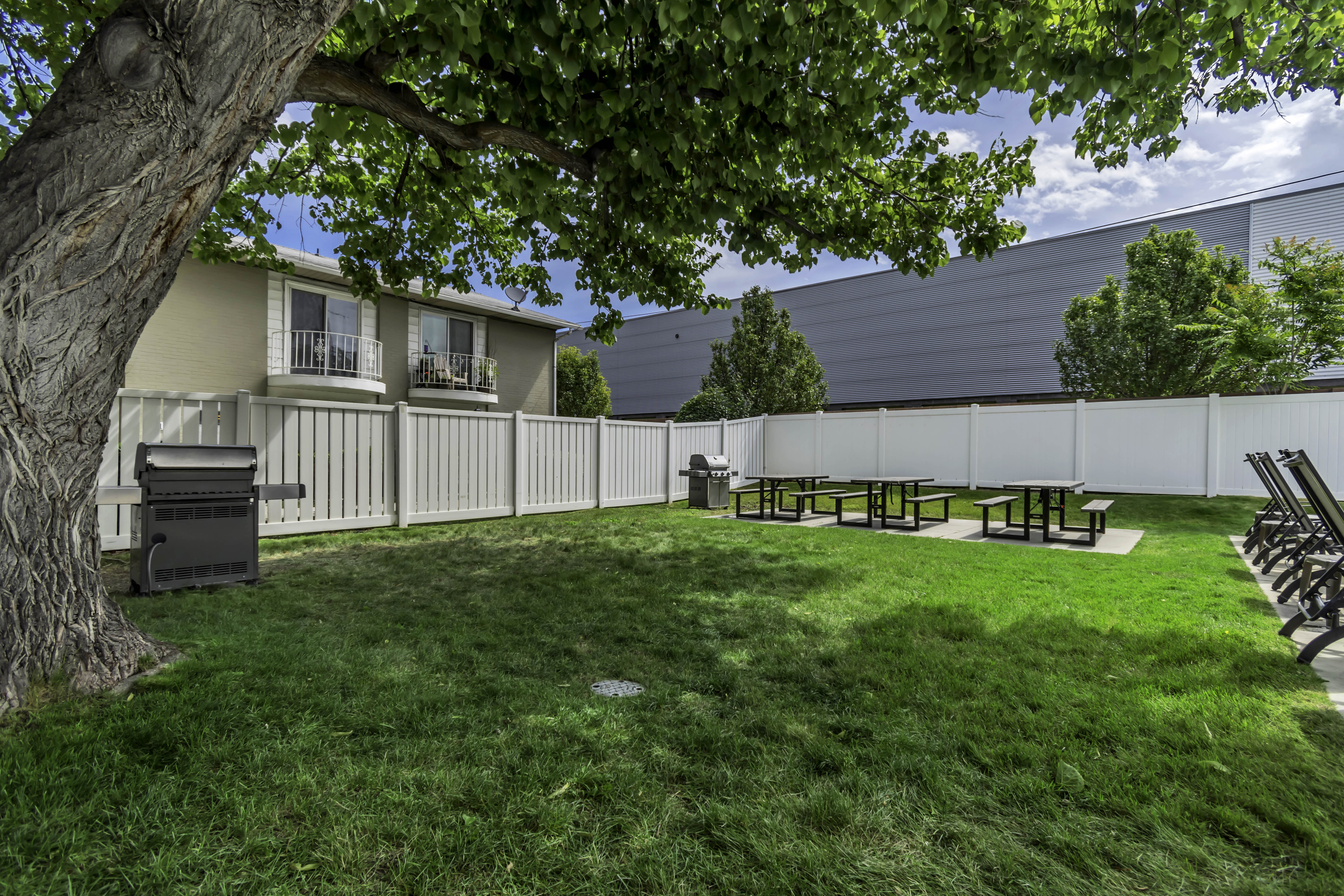 Expansive green lawn area featuring a white privacy fence, mature shade tree, multiple picnic tables on concrete pads, and a built-in barbecue grill