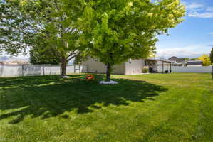Expansive backyard featuring a lush lawn, mature shade trees, and a white privacy fence