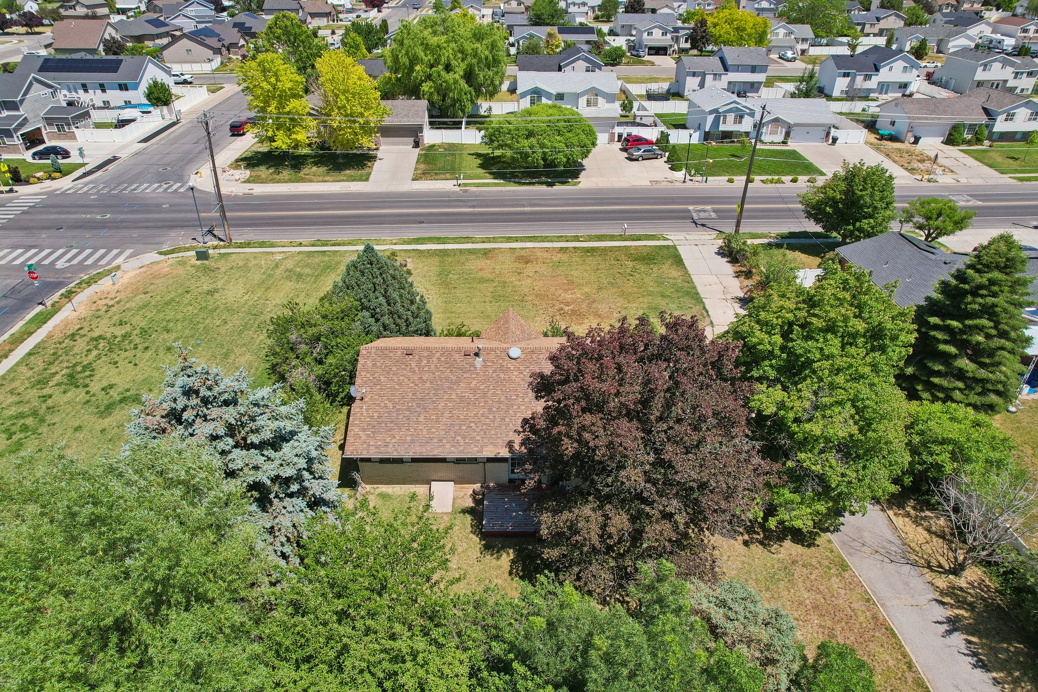 Property features a brown shingle roof, mature trees, and a landscaped front yard with a concrete sidewalk