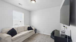 Neutral tone painted walls complement the textured carpet flooring