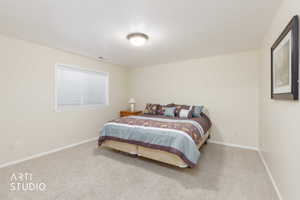 Carpeted room featuring a single window with blinds, a flush-mount ceiling light fixture, and neutral-toned walls