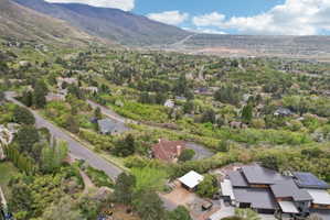 Expansive mountain landscape with diverse foliage and residential properties