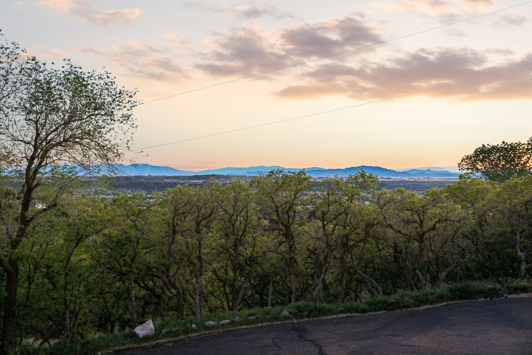Expansive distant mountain ranges under a colorful sky, framed by dense, mature trees
