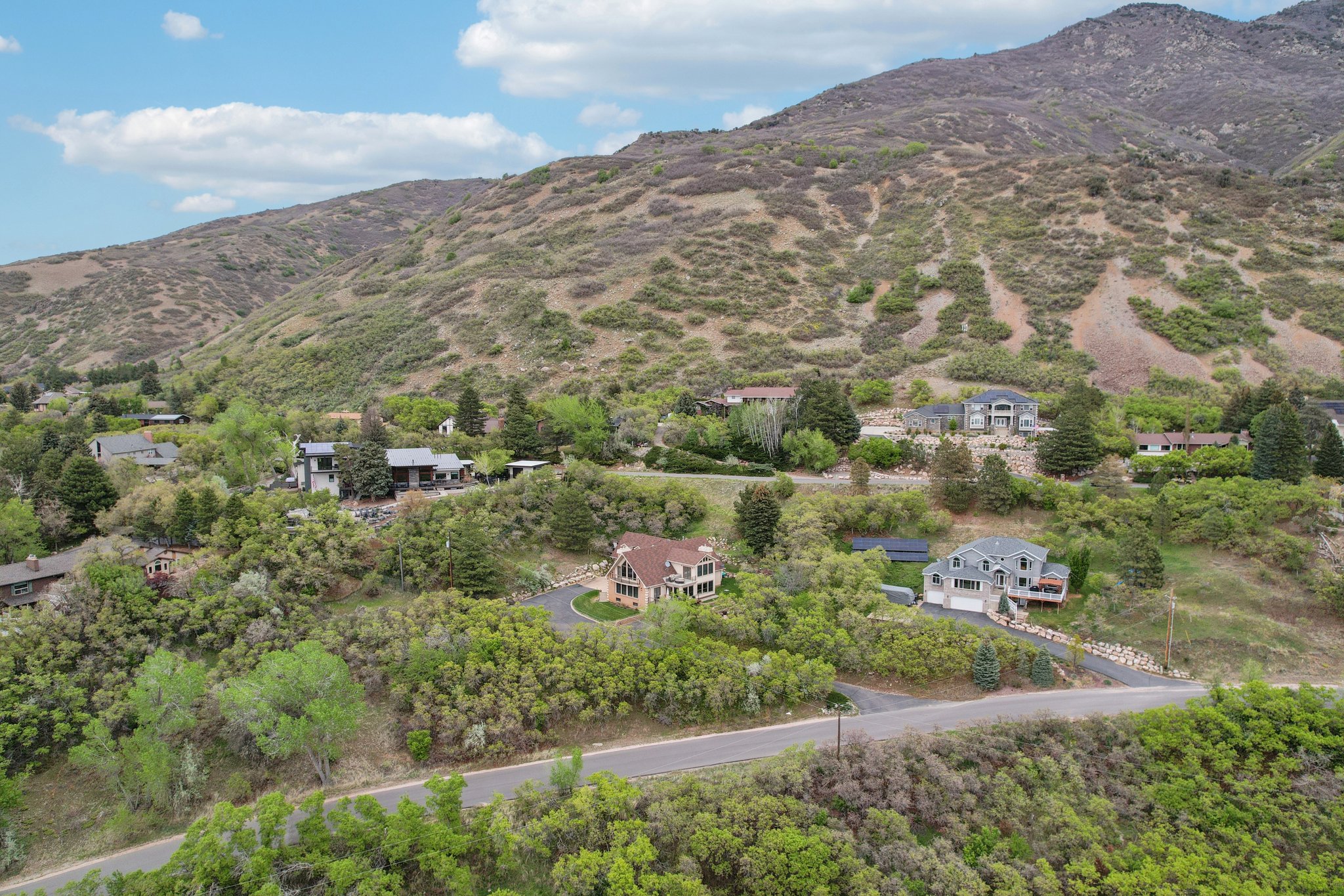 Hillside community with extensive tree coverage and winding roads