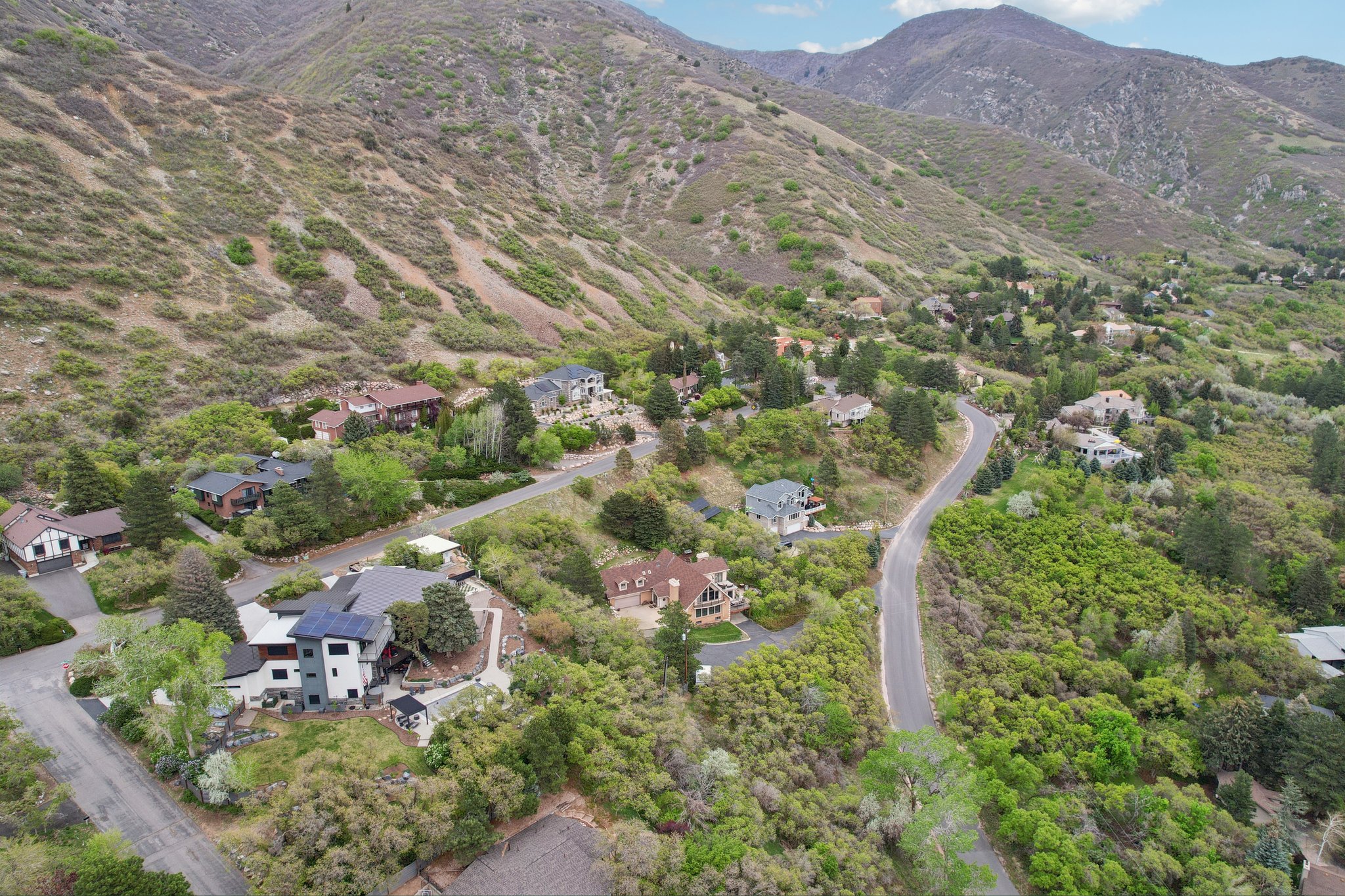 Hillside properties nestled among verdant foliage, featuring a paved road and mountainous backdrop