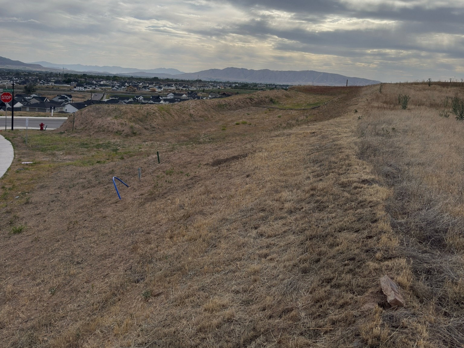 Expansive land parcel with graded terrain