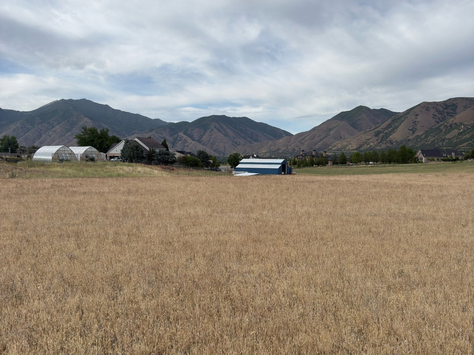 Expansive field of golden-brown grasses, with distant mountains providing a scenic backdrop