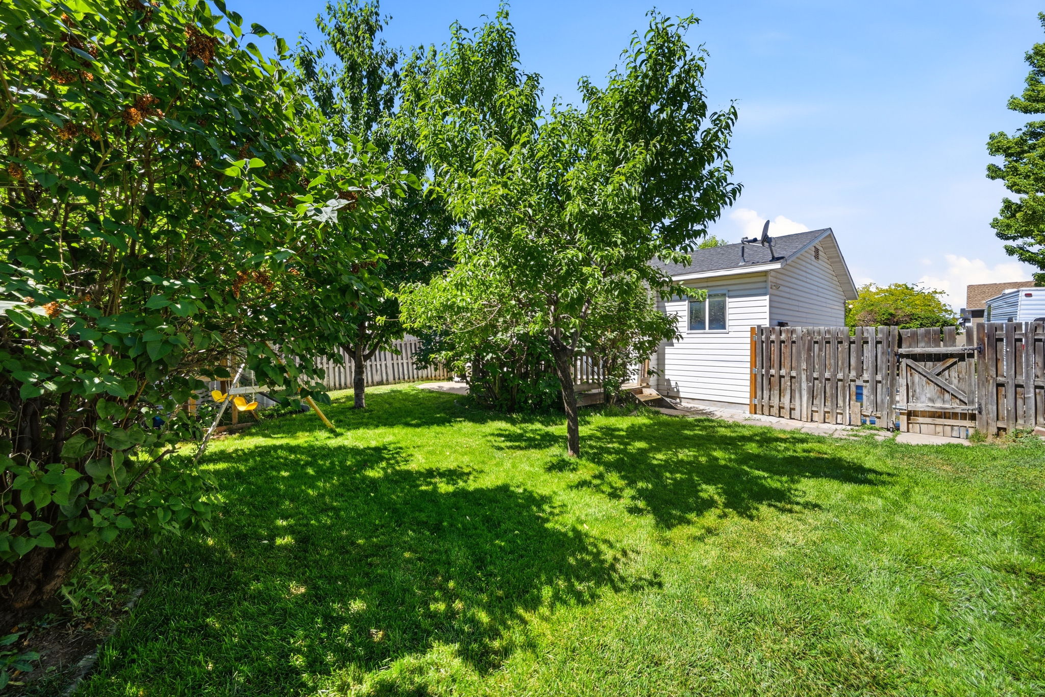 Expansive green lawn framed by mature trees