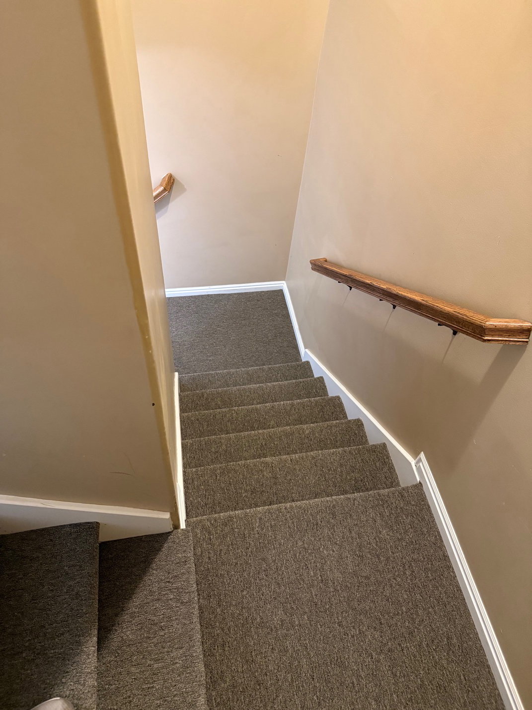 Carpeted staircase with light-toned wall paint and wood handrails