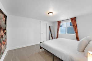 Carpeted room featuring a single window, a flush-mount ceiling light, a solid white door with black hardware, and white baseboards