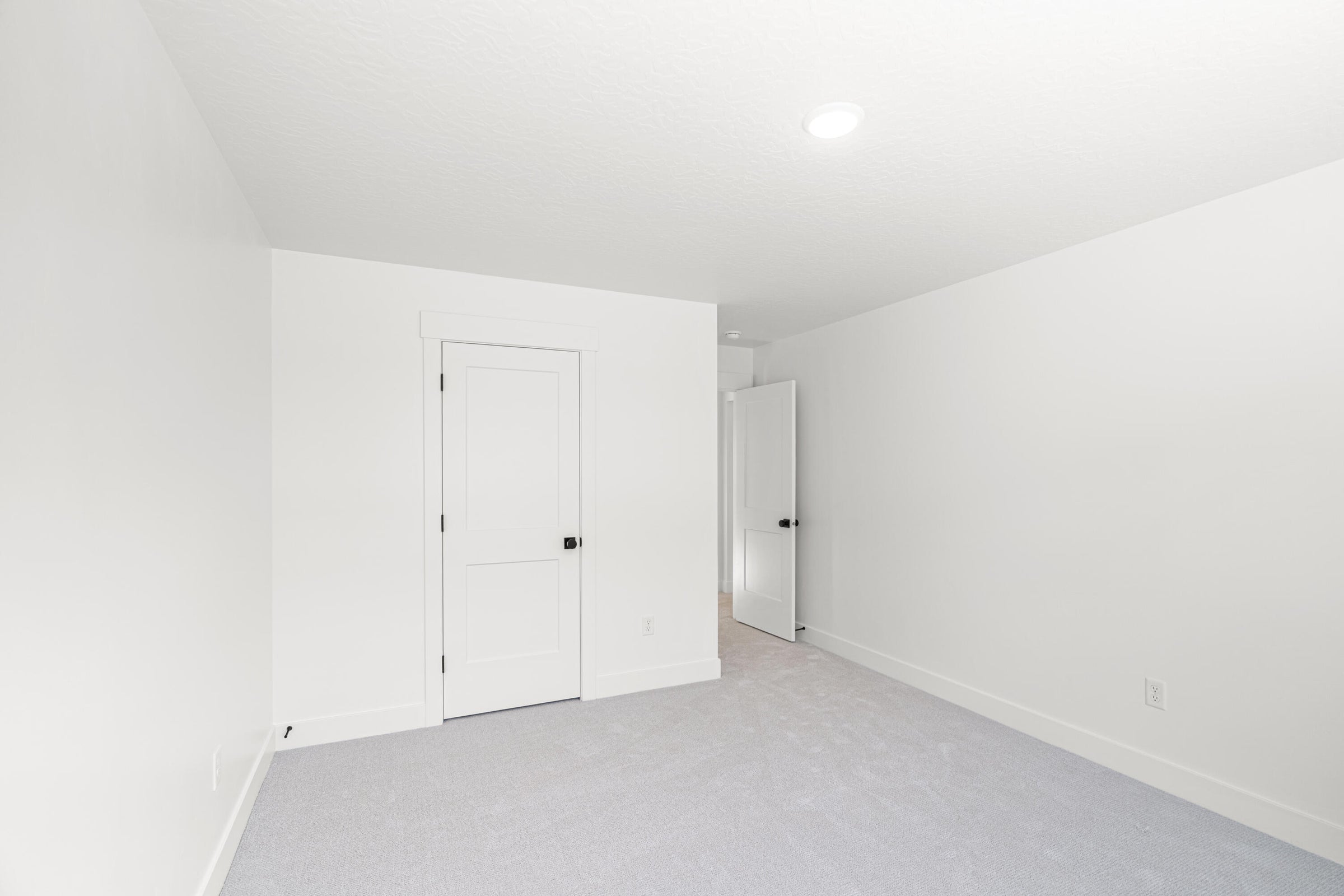 Neutral-toned room featuring light gray carpet flooring and white painted walls