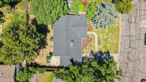Gable roof home with a prominent chimney, extensive mature trees, front yard with green space, and a paved walkway