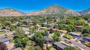 Aerial perspective showcasing a residential area with mature trees and a distant mountain range