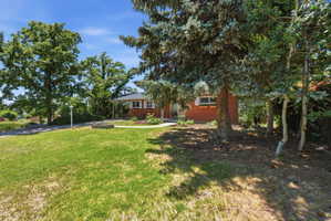 Brick exterior featuring white window trim, covered entry, and mature landscaping