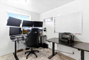 Bright room featuring a window with white trim, light-toned walls, and a textured area rug