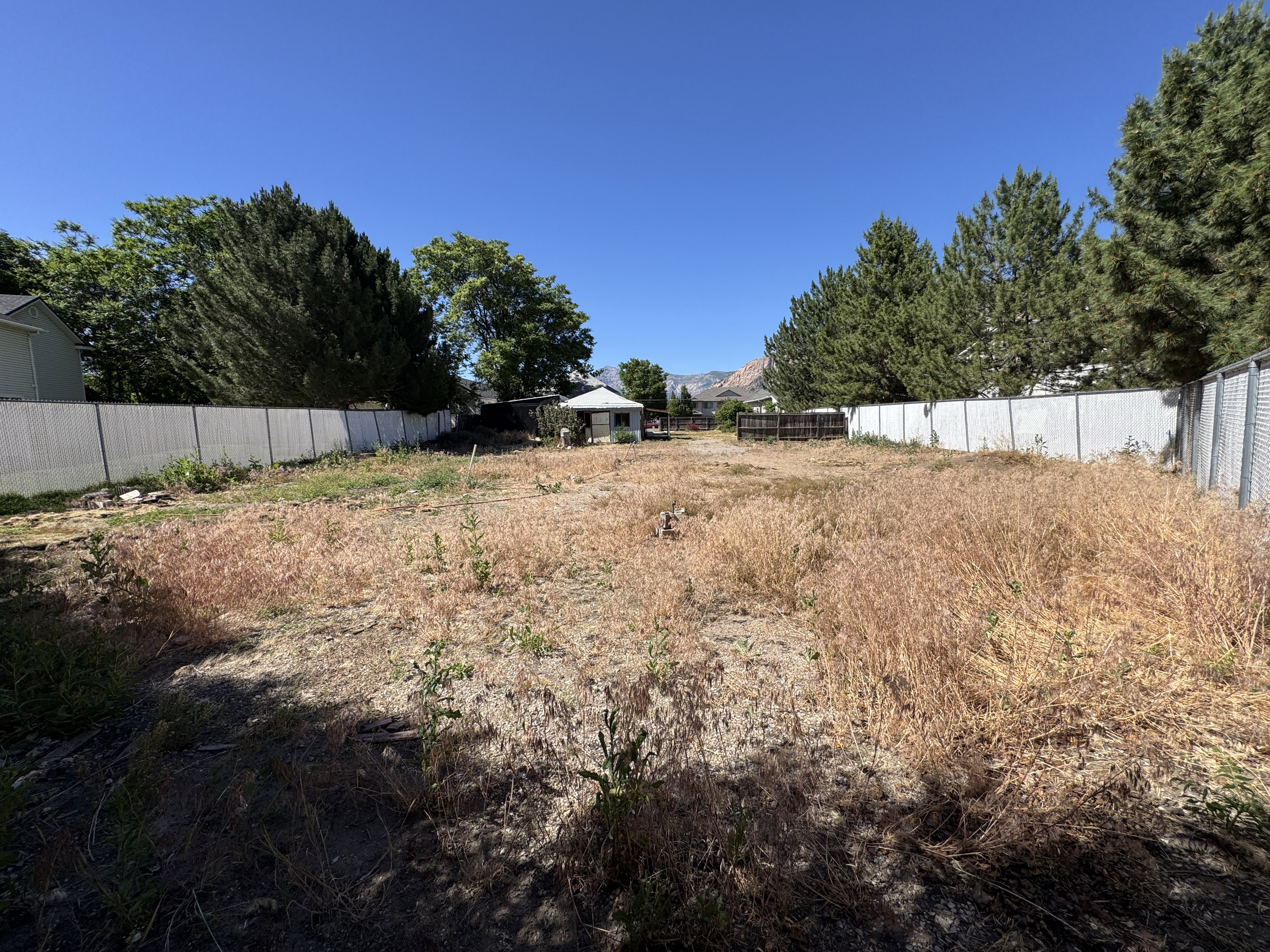 Expansive undeveloped parcel featuring perimeter fencing, mature evergreen trees, and a distant mountain backdrop