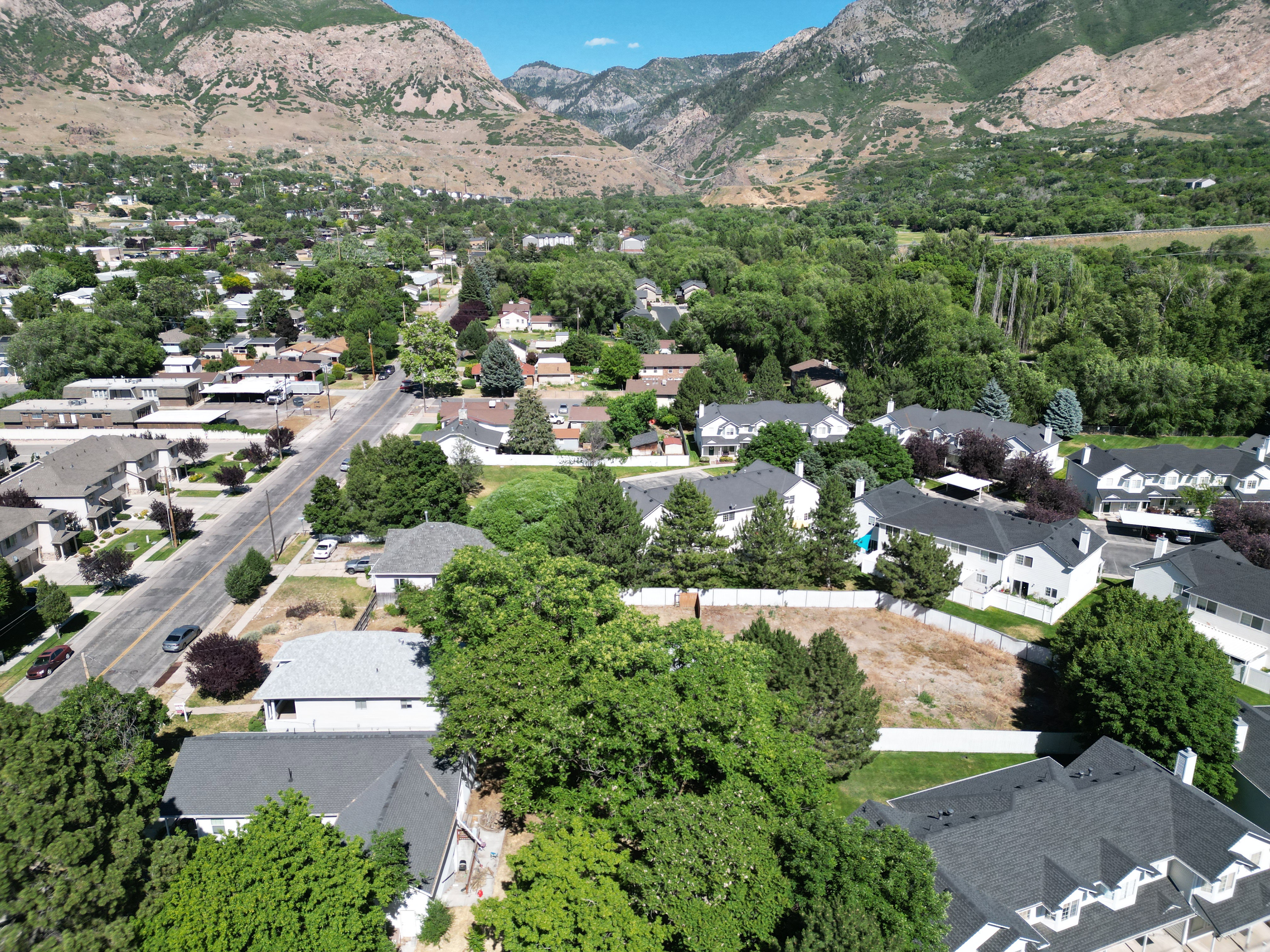 Expansive aerial view of a residential area with mature trees and mountain scenery